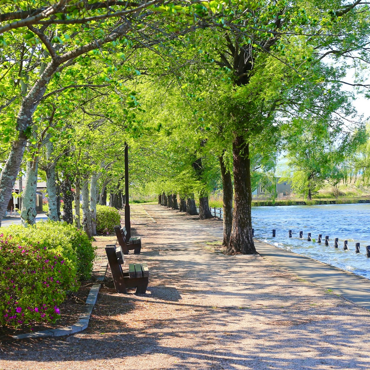 sitting-area-in-park-in-front-of-lake